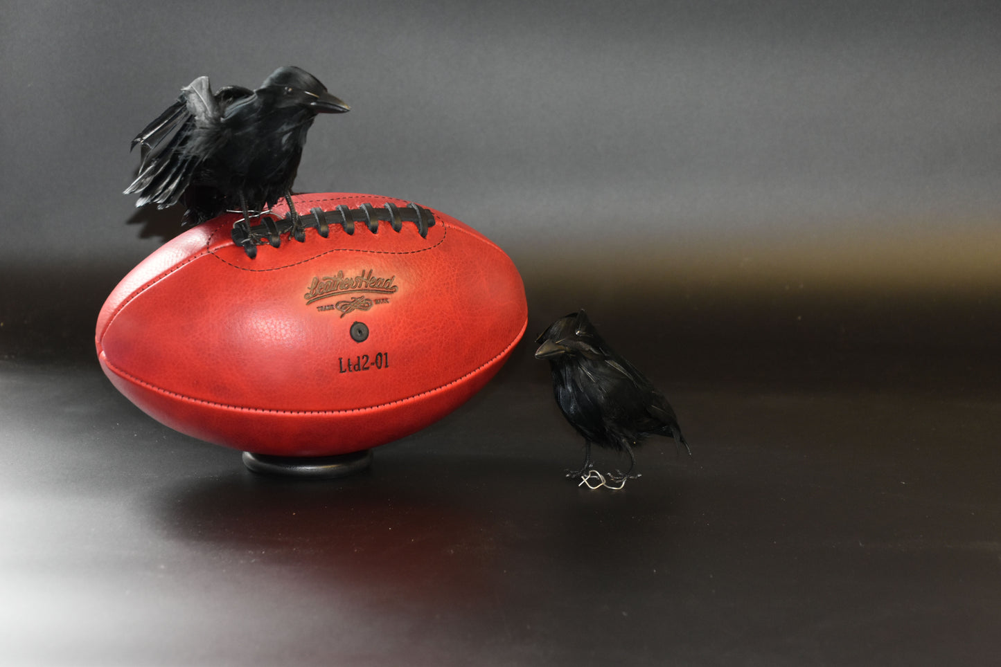 Limited Release: Red Eyed Raven football.  *SOLD OUT*