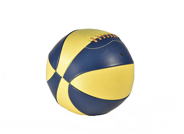 
                  
                    Colored Basketball - Blue & Yellow
                  
                